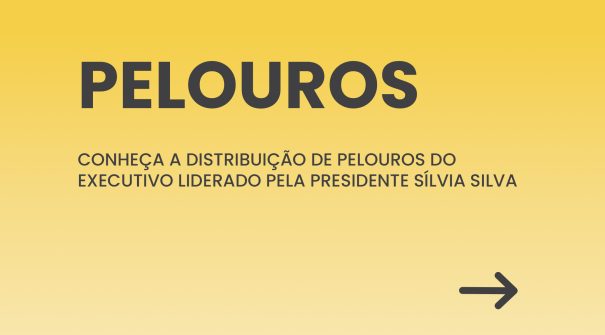 Distribuição de Pelouros