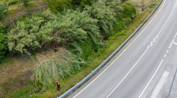 Trabalhos de limpeza e desobstrução das linhas de água do Ribeiro da Meia Légua