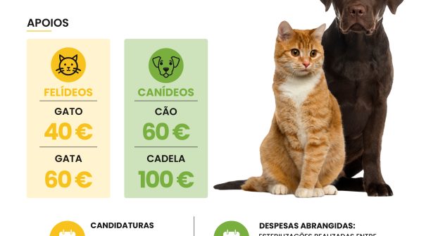 Município apoia esterilização de animais de companhia