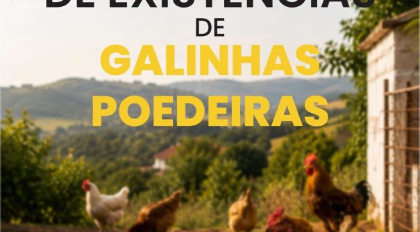 INFORMAÇÃO | DECLARAÇÃO DE EXISTÊNCIAS DE GALINHAS POEDEIRAS
