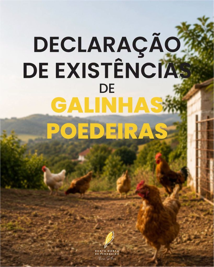  INFORMAÇÃO | DECLARAÇÃO DE EXISTÊNCIAS DE GALINHAS POEDEIRAS 
